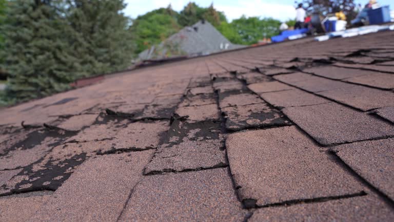 Best Roof Coating and Sealing  in Saginaw, TX